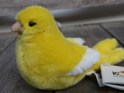 Kösen kanarienvogel - kösen,