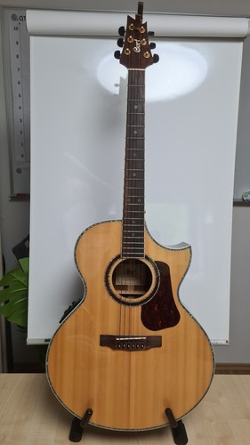 Cort ndx50 westerngitarre - ndx50,