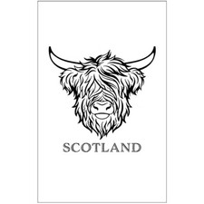 Schottland Highland Kuh