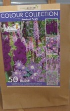 Zwiebelsammlung gemischte