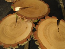 3 x Holzscheiben Eiche -