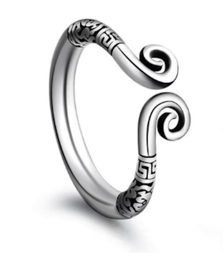 Penis ring cock - penis,
