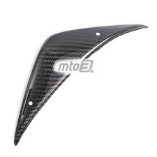 Carbon unter Tank Verkleidung