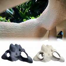 Natürlicher Look Aquarium