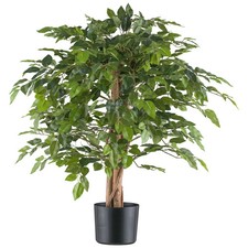 Künstlicher ficus benjamina - ficus,