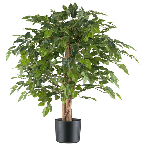 Künstlicher ficus benjamina - künstlicher,
