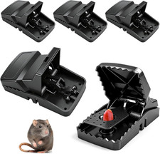 Rattenfalle set mit - rattenfalle,
