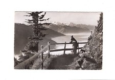 AK Ansichtskarte Stanserhorn /