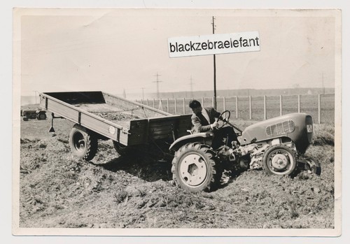 2260 foto oldtimer traktor - foto,