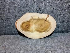 Baumscheibe, Holzscheibe