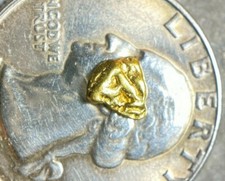 PURE GOLD NUGGET ALASKA YUKON