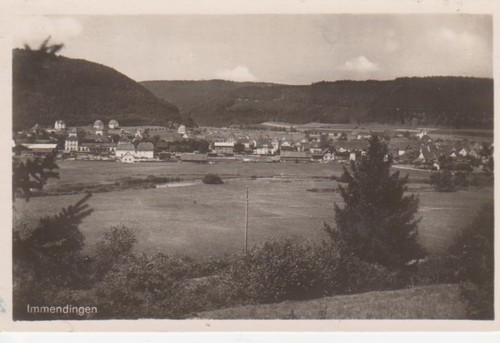 Immendingen seiner - in,