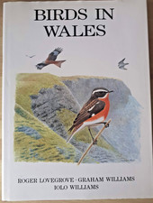 Birds wales roger - in,