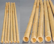 10er Set Bambusrohr gelb, Moso