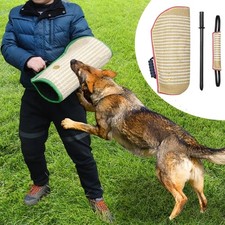 Hundeausbildung Beisskissen