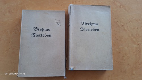 Buch 1928 brehms tierleben - buch, in