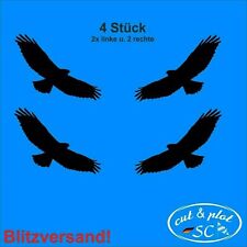 4 große Fenster Warnvögel