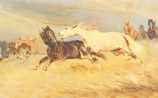 Wladyslaw borowicki - wladyslaw,