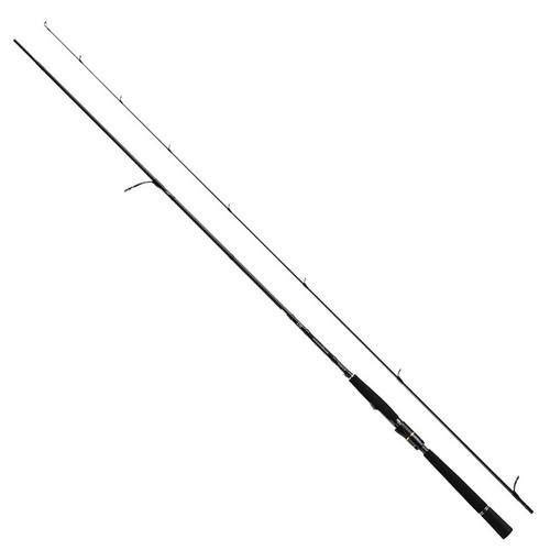 Daiwa morethan wisemen ags - wisemen,