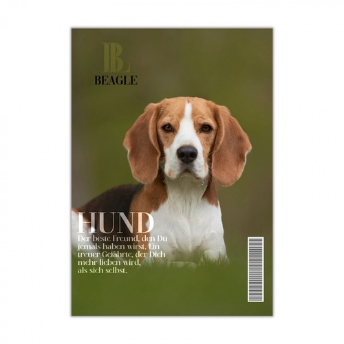 Beagle schild dog hund - beagle,