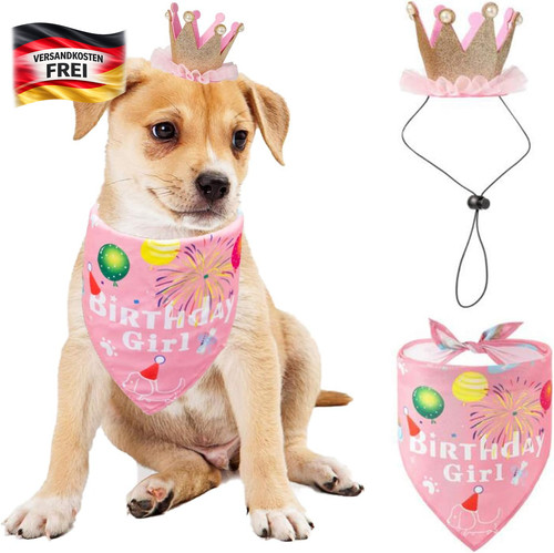 Hund geburtstag outfit - hund,
