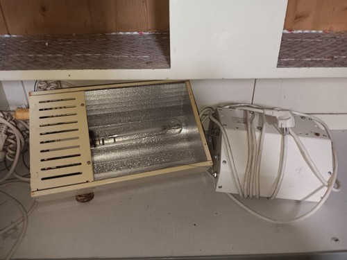 Natriumdampflampe 600w - natriumdampflampe, (hps)