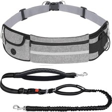 Joggingleine Hund mit