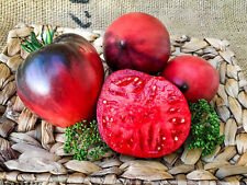 Sergeant Pepper's Ochsenherztomate USA rosarot indigo süß fruchtig aromatisch