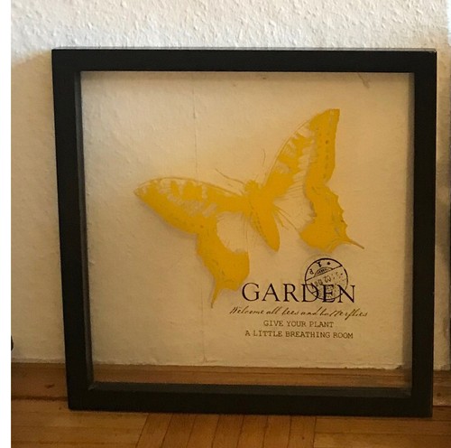 Glas wandbild schmetterling - glas-wandbild,