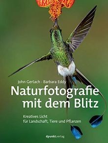 Naturfotografie mit dem blitz - naturfotografie,