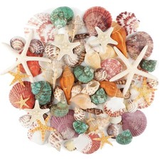 Muscheln Strand Dekoration