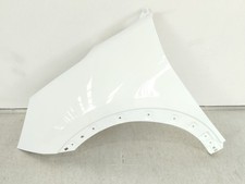 L1TBS16016AD KOTFLÜGEL VORNE LINKS / 6518437 FÜR FORD PUMA J2K, CF7 1.0 ECOBOO