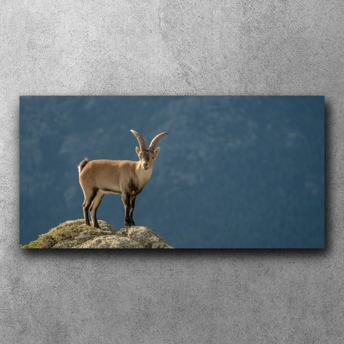 Canvas bild leinwand bilder - bild,