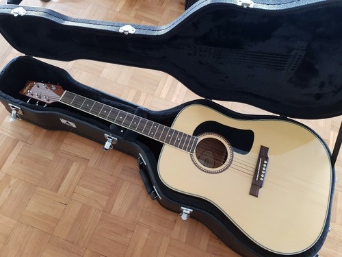 2009 washburn d10 n - washburn,