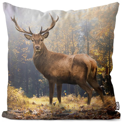 Hirsch wald herbst - wald,