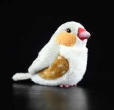 Zebra Finch Perle Vogel 6"