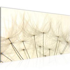 Wandbild Pusteblume Bilder XXL