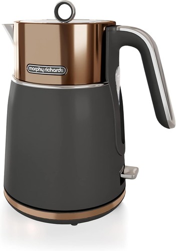 Morphy richards 100742 - richards,