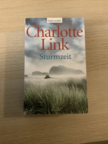 Sturmzeit - (charlotte, link)