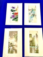 Chrysantheme Chinesische