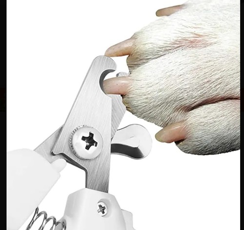 Krallenschere für hunde - für,