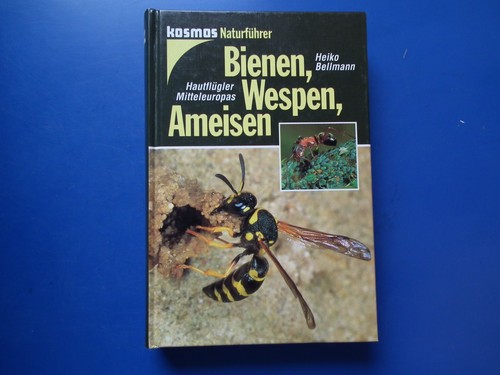 Bellmann bienen wespen - bienen,