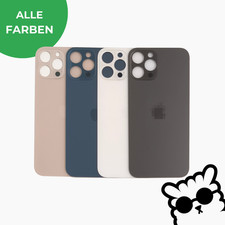 iPhone 12 Pro Max Backcover