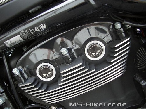 Cam cover black - black, harley