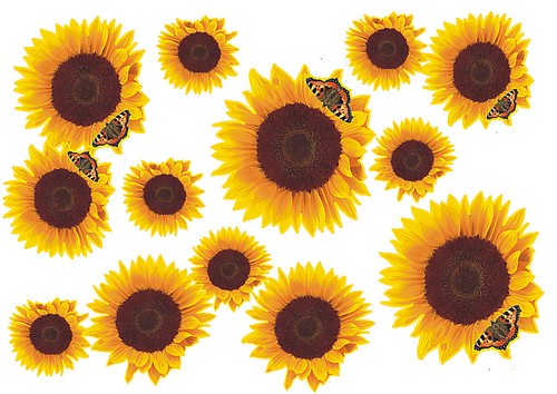 Blumen aufkleber sonnenblumen - blumen,