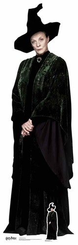 Harry potter pappaufsteller - potter,