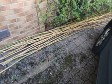 Bambusstäbe frisch abgeschnitten  zwischen 3,5m und 3,9m lang