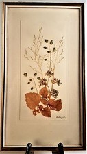 BILD AUS HERBARIUM RAHMEN BLUMEN HANDARBEIT WANDBILD E. VOGEL