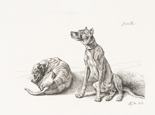 Klein zwei - j., (1792-1875),