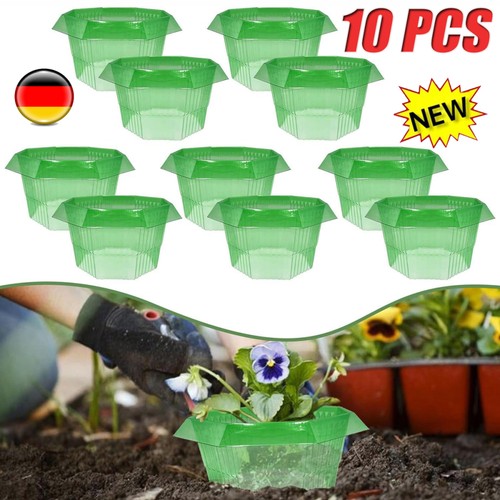 Schneckenkragen